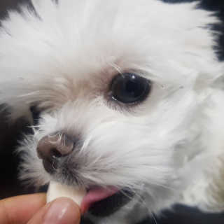펫프렌즈 생고기가 한봉지 가득 원츄 50g — 4점을 준 리뷰어가 2020년 1월 올린 사용 사진