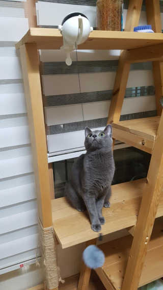 쿠로님이 올린 리뷰 사진 1