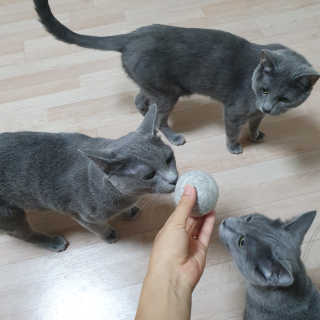 여온님이 올린 리뷰 사진 1