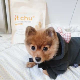 은선이짱님이 올린 리뷰 사진 1