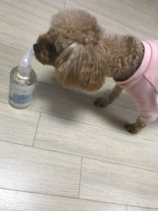 VivianHwang님이 올린 리뷰 사진 1