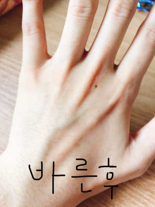 송예진님이 올린 리뷰 사진 4