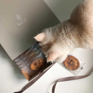 suuujin님이 올린 리뷰 사진 1