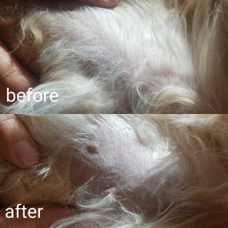 찬이애비님이 올린 리뷰 사진 2