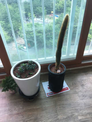 채연님이 올린 리뷰 사진 2