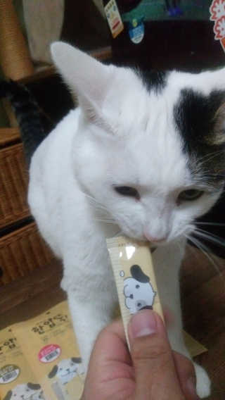 SeulonPark님이 올린 리뷰 사진 3