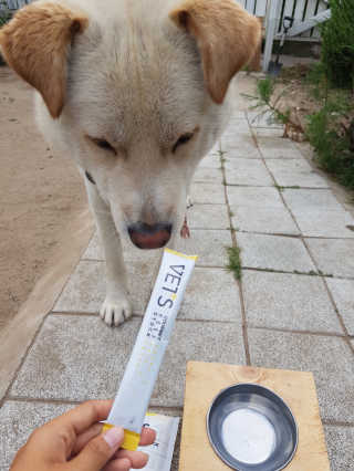 베츠 고메스톡 2종 강아지츄르 사료, 물 전용토핑육수 — 5점을 준 리뷰어가 2019년 7월 올린 사용 사진