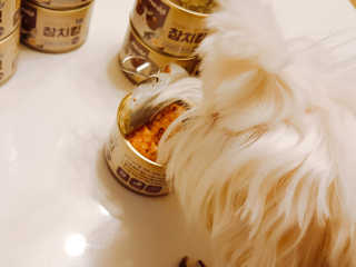 beanmom님이 올린 리뷰 사진 3