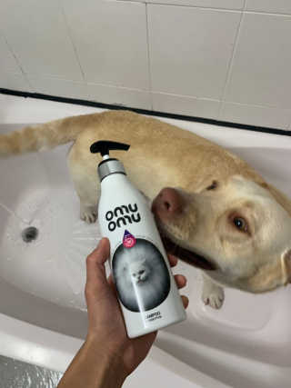 이지닝님이 올린 리뷰 사진 2
