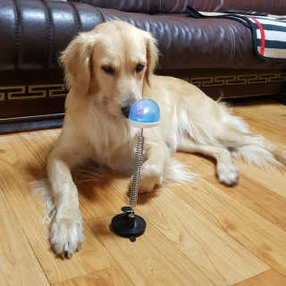 융님이 올린 리뷰 사진 1