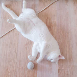정혜님이 올린 리뷰 사진 2