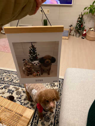 황방울이님이 올린 리뷰 사진 3