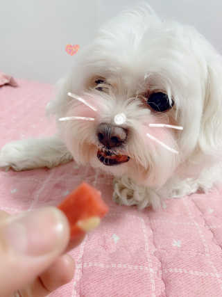 으니부기님이 올린 리뷰 사진 3