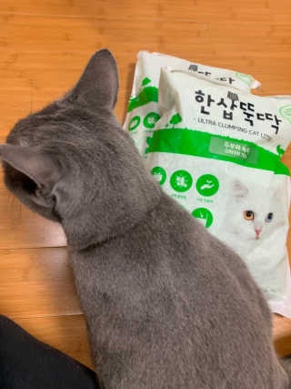 [펫토리아] BEST 고양이두부모래 6L 한삽뚝딱 — 4점을 준 리뷰어가 2019년 2월 올린 사용 사진