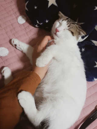 은또님이 올린 리뷰 사진 3