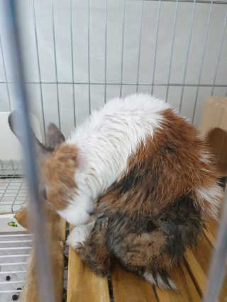 소영님이 올린 리뷰 사진 3