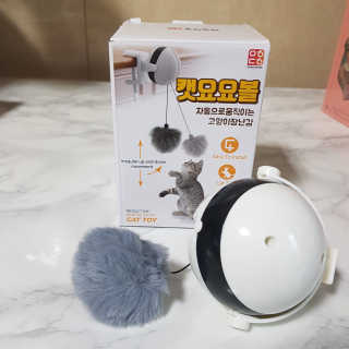 블루모닝님이 올린 리뷰 사진 2