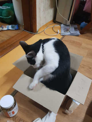 동그라미님이 올린 리뷰 사진 3