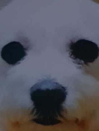 도치님이 올린 리뷰 사진 2