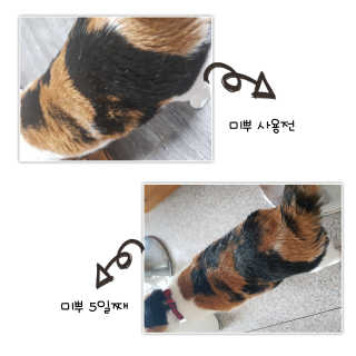 코코민네님이 올린 리뷰 사진 4