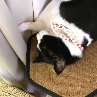진콩이님이 올린 리뷰 사진 1