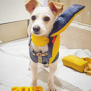 Isabelle Lee님이 올린 리뷰 사진 1