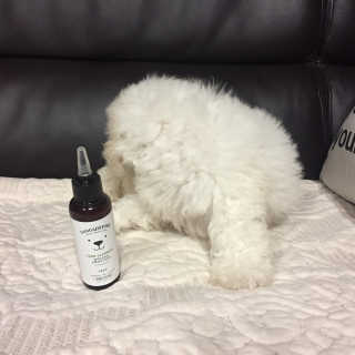 김승희님이 올린 리뷰 사진 3