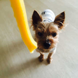 이혜지님이 올린 리뷰 사진 1