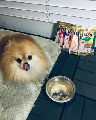 [펫토리아] 토로토로 하치  강아지 파우치간식 — 5점을 준 리뷰어가 2019년 7월 올린 사용 사진