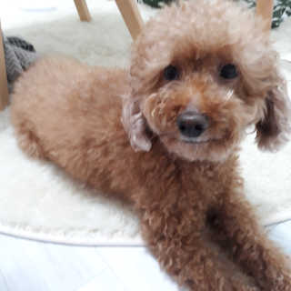 kang4824님이 올린 리뷰 사진 3