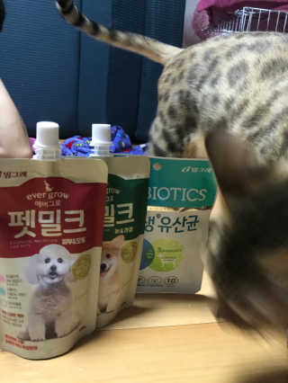 [빙그레] 에버그로 생유산균 1봉（10포입）+펫밀크2팩 — 3점을 준 리뷰어가 2019년 5월 올린 사용 사진