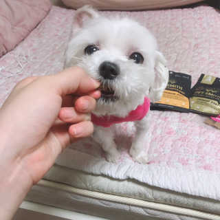 유니뀨님이 올린 리뷰 사진 1