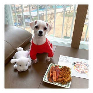 마이민님이 올린 리뷰 사진 1