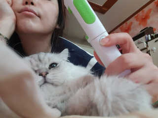 이영실님이 올린 리뷰 사진 4