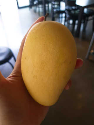 쭌맘님이 올린 리뷰 사진 1