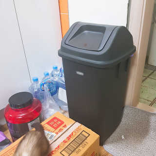 창신리빙 프랑코 퍼블릭 스윙 휴지통 10L, 25L, 35L — 3.67점을 준 리뷰어가 2019년 9월 올린 사용 사진