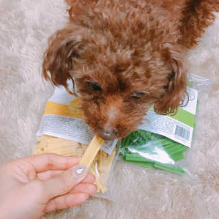 [펫토리아] BEST 한입뚝딱 실속형 강아지 덴탈껌 — 4.5점을 준 리뷰어가 2019년 2월 올린 사용 사진