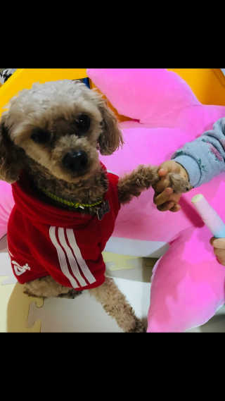 애리미님이 올린 리뷰 사진 4