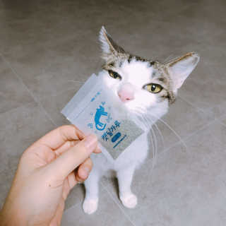 수딩수딩님이 올린 리뷰 사진 2