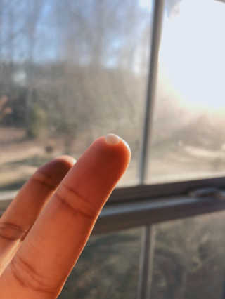 tehyabell님이 올린 리뷰 사진 1