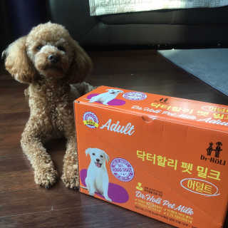 닥터할리펫밀크 8종 — 5점을 준 리뷰어가 2019년 12월 올린 사용 사진
