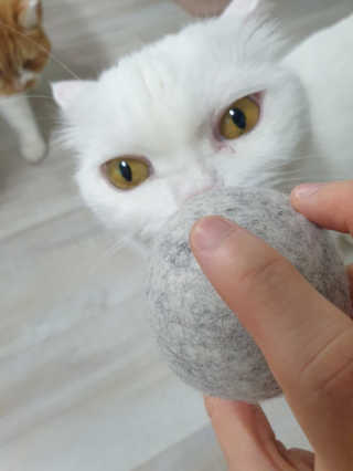 혀나님이 올린 리뷰 사진 2