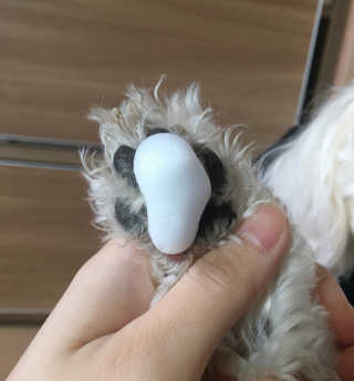 설량님이 올린 리뷰 사진 2