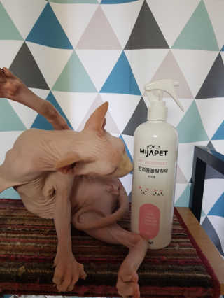 마뇨님이 올린 리뷰 사진 1
