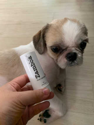 다니도니맘님이 올린 리뷰 사진 2