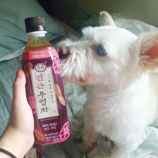 윤빵님이 올린 리뷰 사진 4
