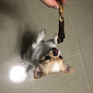지애님이 올린 리뷰 사진 4