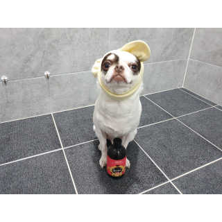 mini unni님이 올린 리뷰 사진 2