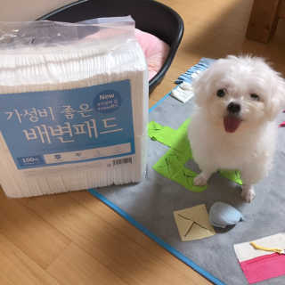 니코니코니님이 올린 리뷰 사진 1