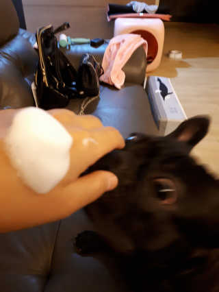 토르맘님이 올린 리뷰 사진 1